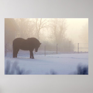 Icelandic Horse in a  Frosty Mist Poster