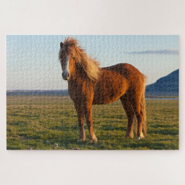 Icelandic Horse in Sunset Light Jigsaw Puzzle (Horizontal)