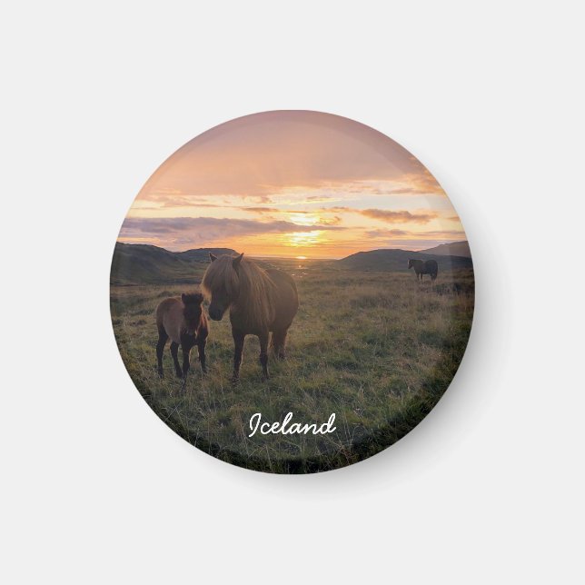 Icelandic horse -  landscape magnet (Front)