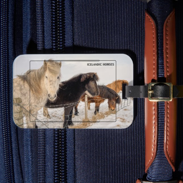 Icelandic Horse Luggage Tag (Front Insitu 4)