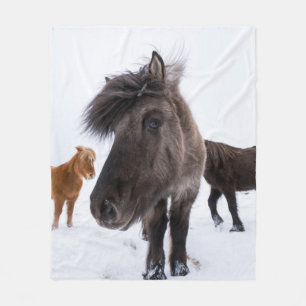 Icelandic Horse portrait, Iceland Fleece Blanket