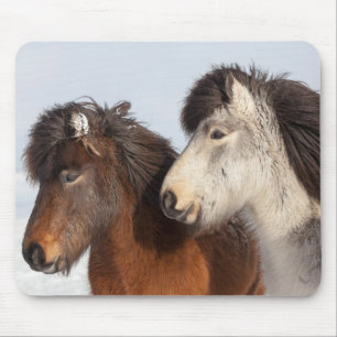 Icelandic Horse profile, Iceland Mouse Pad