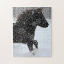 Icelandic horse silhouette puzzle