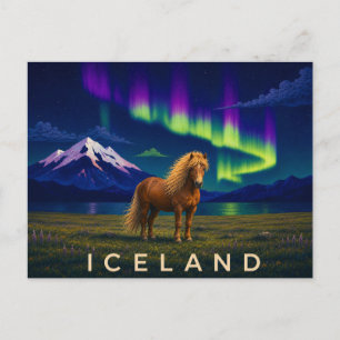 Icelandic Horse Under the Aurora   Iconic Iceland Postcard