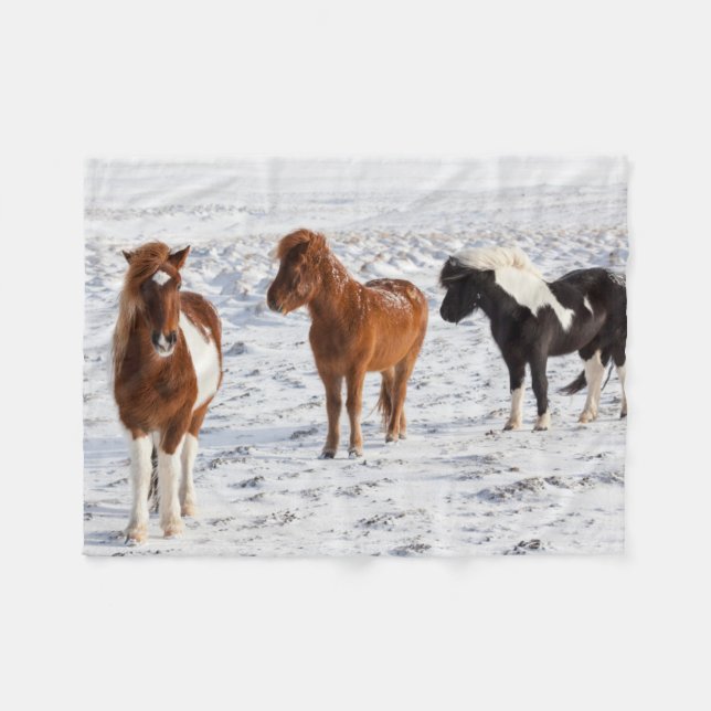 Icelandic Horse with Typical Winter Coat Fleece Blanket (Front (Horizontal))