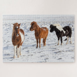 Icelandic Horse with Typical Winter Coat Jigsaw Puzzle
