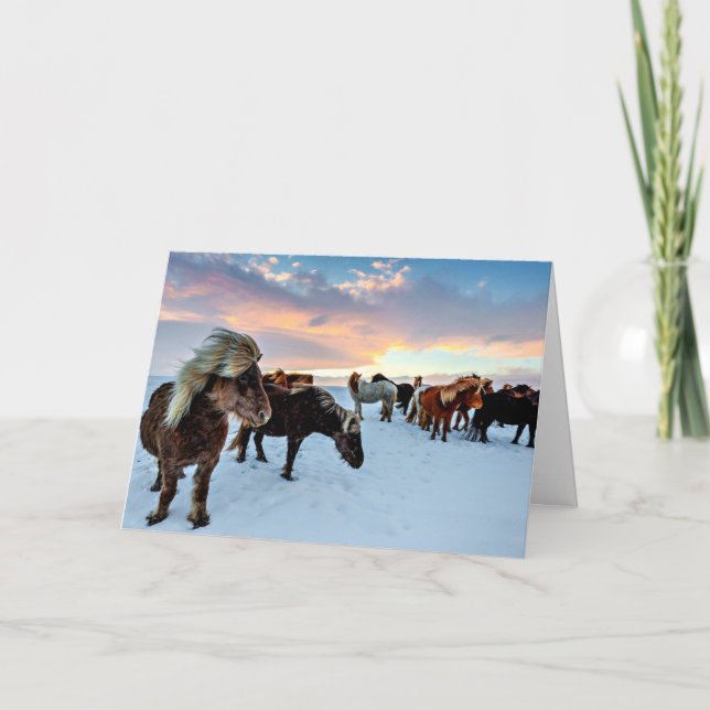 Icelandic Horses Card (Front)