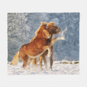 Icelandic Horses Foal Playing in Snow Funny Photo Fleece Blanket