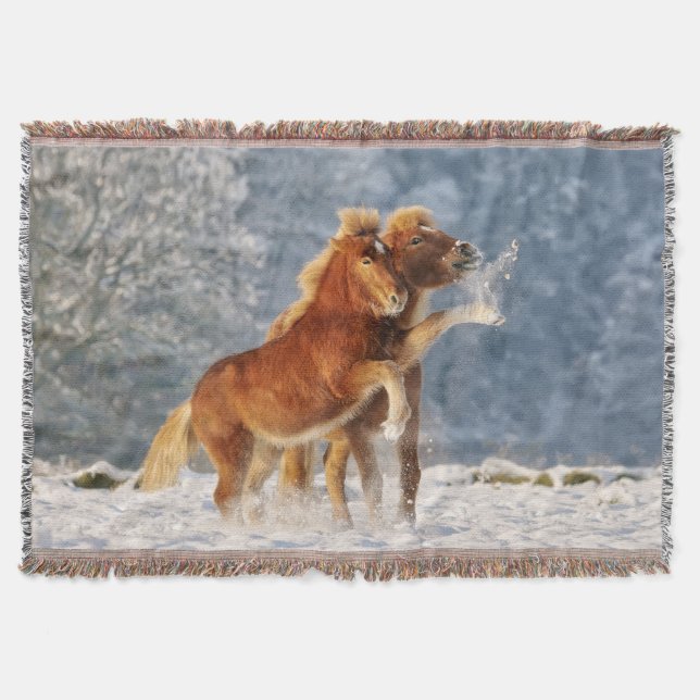 Icelandic Horses Foal Playing in Snow Funny Photo Throw Blanket (Front)