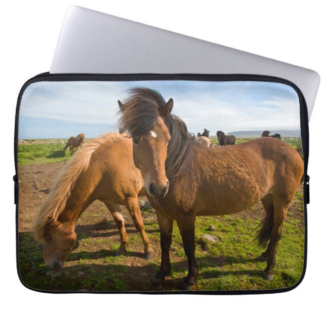 Icelandic Horses Graze Laptop Sleeve (Front)