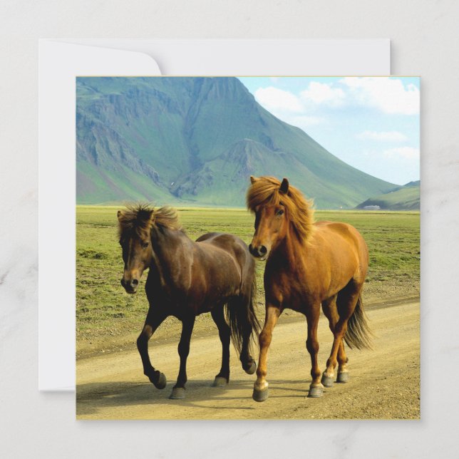 Icelandic Horses Holiday Card (Front)