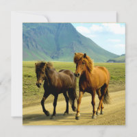Icelandic Horses