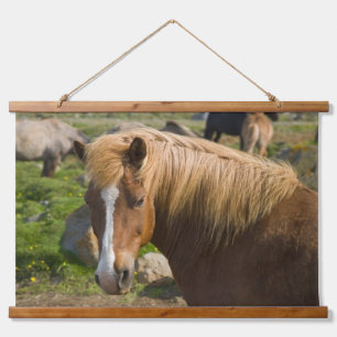 Icelandic Horses in Northeastern Iceland Hanging Tapestry