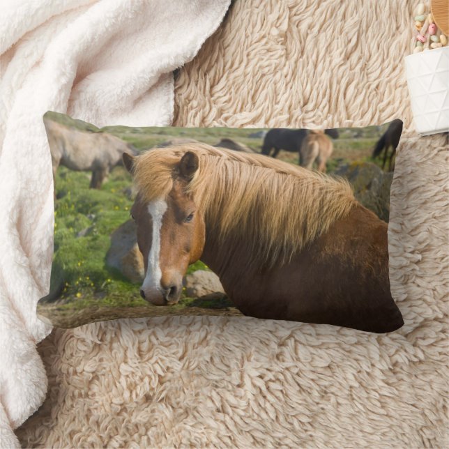 Icelandic Horses in Northeastern Iceland Lumbar Cushion (Blanket)