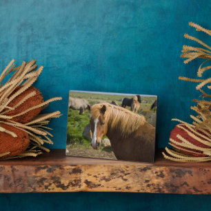 Icelandic Horses in Northeastern Iceland Plaque