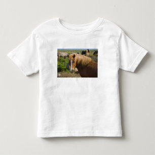 Icelandic Horses in northeastern Iceland. Toddler T-Shirt