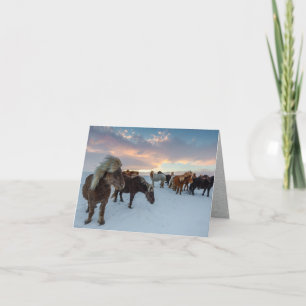 Icelandic Horses in Snow Holiday Card