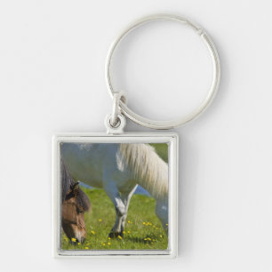 Icelandic Horses in western Iceland. Key Ring