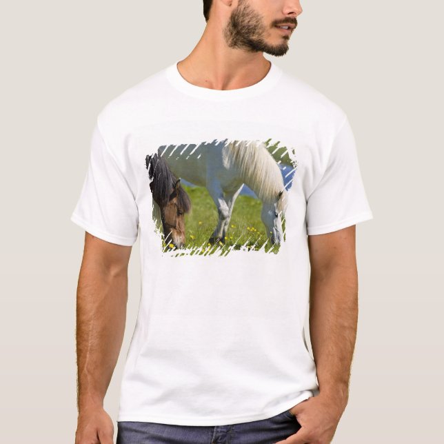 Icelandic Horses in western Iceland. T-Shirt (Front)