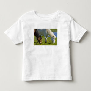 Icelandic Horses in western Iceland. Toddler T-Shirt
