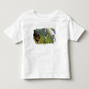 Icelandic Horses in western Iceland. Toddler T-Shirt