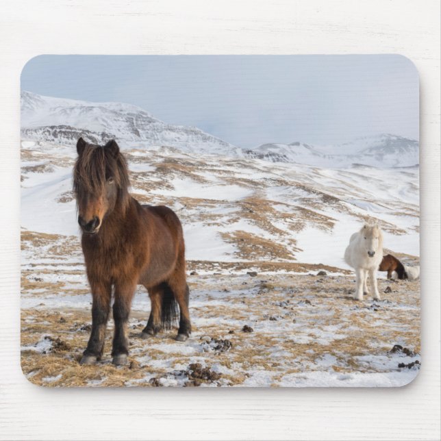 Icelandic Horses in Winter Mouse Pad (Front)