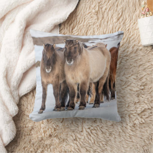 Icelandic Horses in Winter Near Hofn, Iceland Cushion