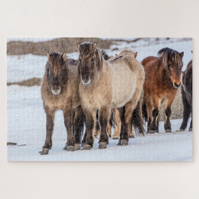 Icelandic Horses in Winter Near Hofn, Iceland Jigsaw Puzzle (Horizontal)