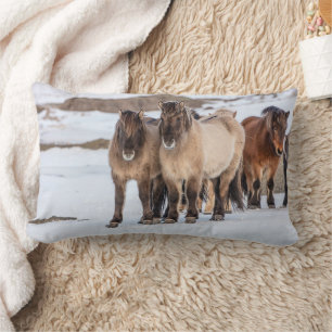 Icelandic Horses in Winter Near Hofn, Iceland Lumbar Cushion