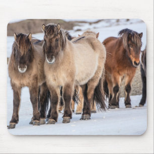 Icelandic Horses in Winter Near Hofn, Iceland Mouse Pad