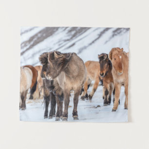 Icelandic Horses in Winter Pasture Near Hofn Tapestry