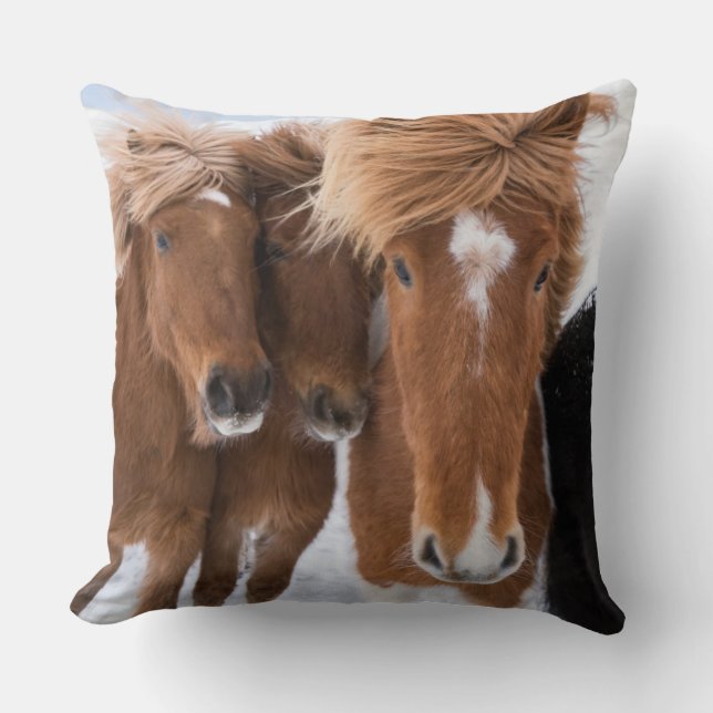 Icelandic Horses nuzzle, Iceland Cushion (Front)