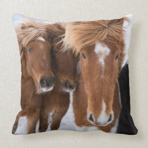Icelandic Horses nuzzle, Iceland Cushion