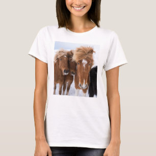 Icelandic Horses nuzzle, Iceland T-Shirt