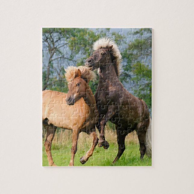 Icelandic horses playing and rearing jigsaw puzzle (Vertical)