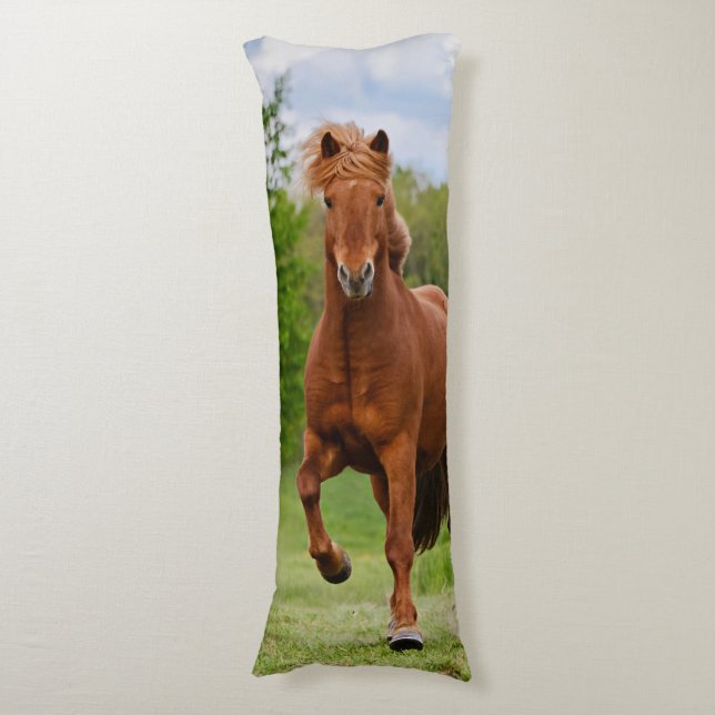 Icelandic Pony at a Tölt Funny Photo Horse Lovers Body Cushion (Front Vertical)