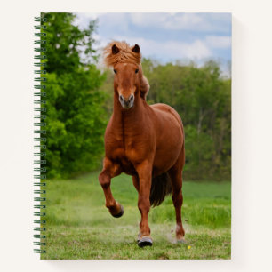 Icelandic Pony at Tölt Funny Photo Horse Lovers " Notebook