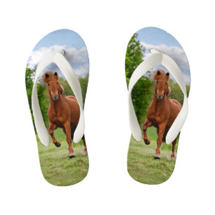 Icelandic Pony Tölt Funny Photo Horse Lovers  Kid Kid's Thongs