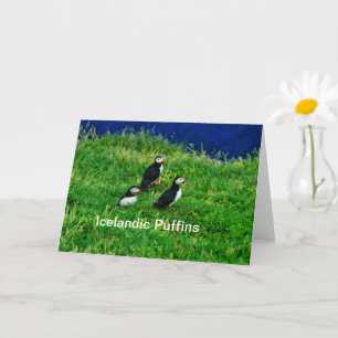 Icelandic Puffins in Summer Card