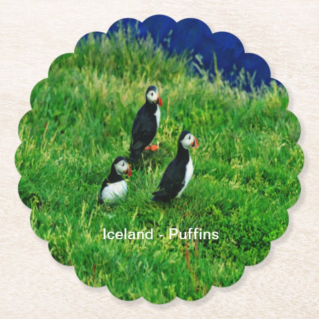 Icelandic Puffins Paper Coaster (Front)