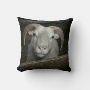 Icelandic sheep - cushion