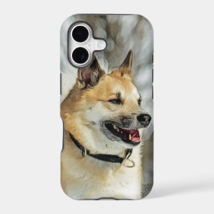 Icelandic Sheepdog 019