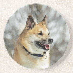 Icelandic Sheepdog 019 Coaster