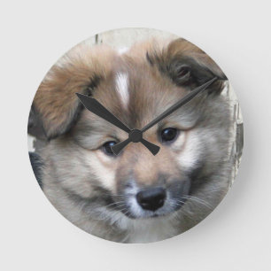 Icelandic Sheepdog 2014-0801 Round Clock