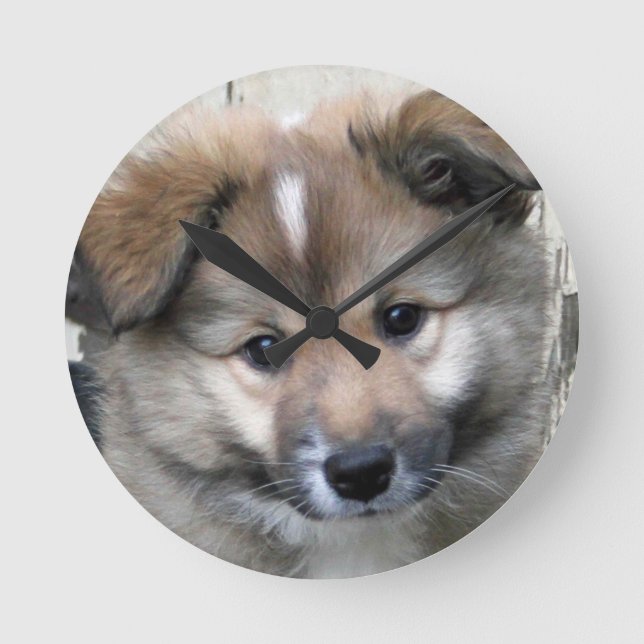 Icelandic Sheepdog 2014-0801 Round Clock (Front)