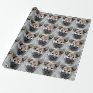 Icelandic Sheepdog 2014-0803 Wrapping Paper