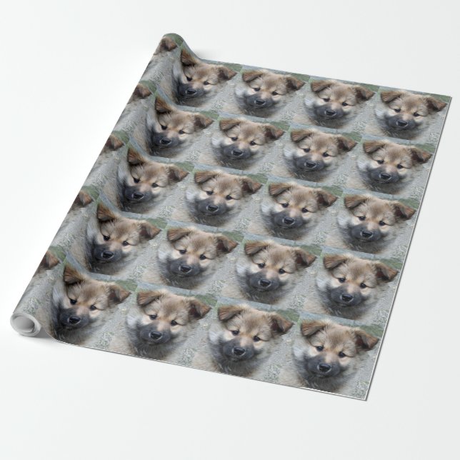 Icelandic Sheepdog 2014-0803 Wrapping Paper (Unrolled)