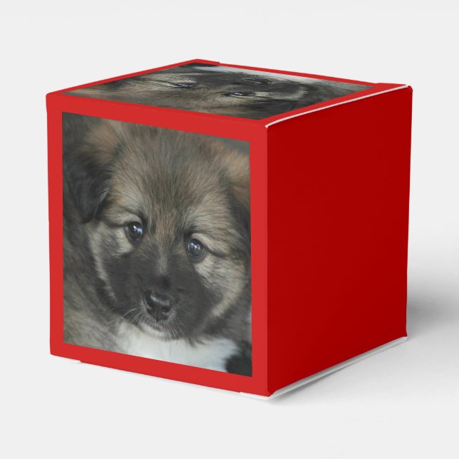 Icelandic Sheepdog 2014-0808 Favour Box (Back Side)