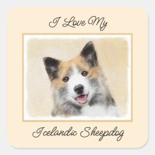 Icelandic Sheepdog Painting - Original Dog Art Square Sticker