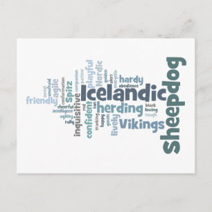 Icelandic Sheepdog Postcard